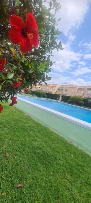 טורבייחה Bungalow Avec Piscine מראה חיצוני תמונה