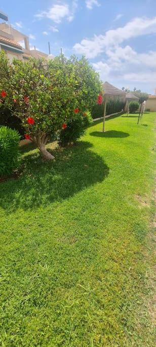 טורבייחה Bungalow Avec Piscine מראה חיצוני תמונה