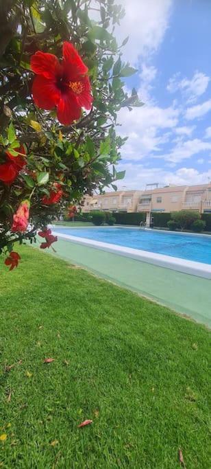 טורבייחה Bungalow Avec Piscine מראה חיצוני תמונה