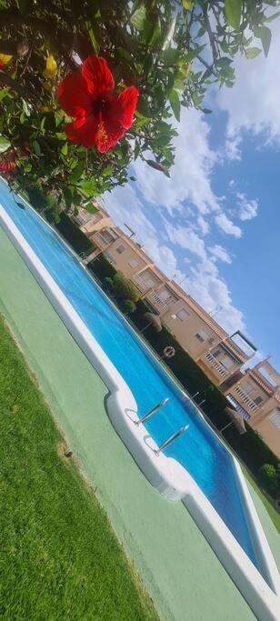 טורבייחה Bungalow Avec Piscine מראה חיצוני תמונה